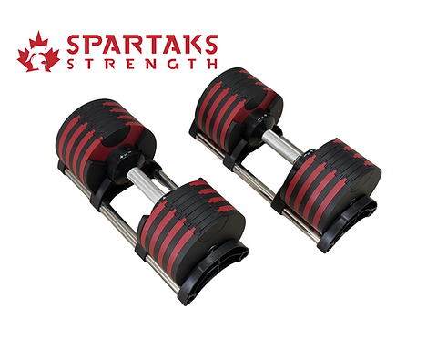 Paire d'haltères réglables de 90 lb (incréments de 5 lb)
